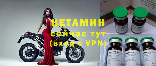 твердый Дмитров