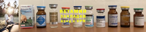 твердый Дмитров