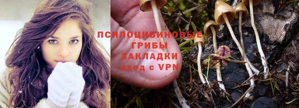 марихуана Дмитровск