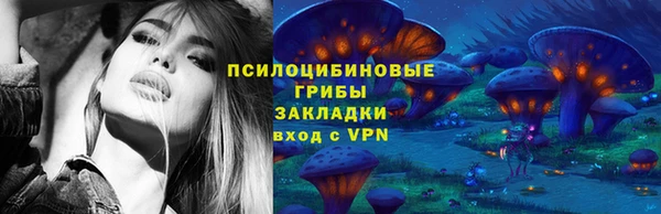 твердый Дмитров